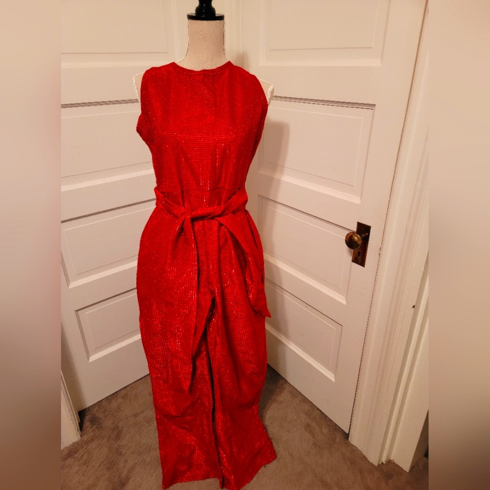 Fun sparkly jumpsuit!